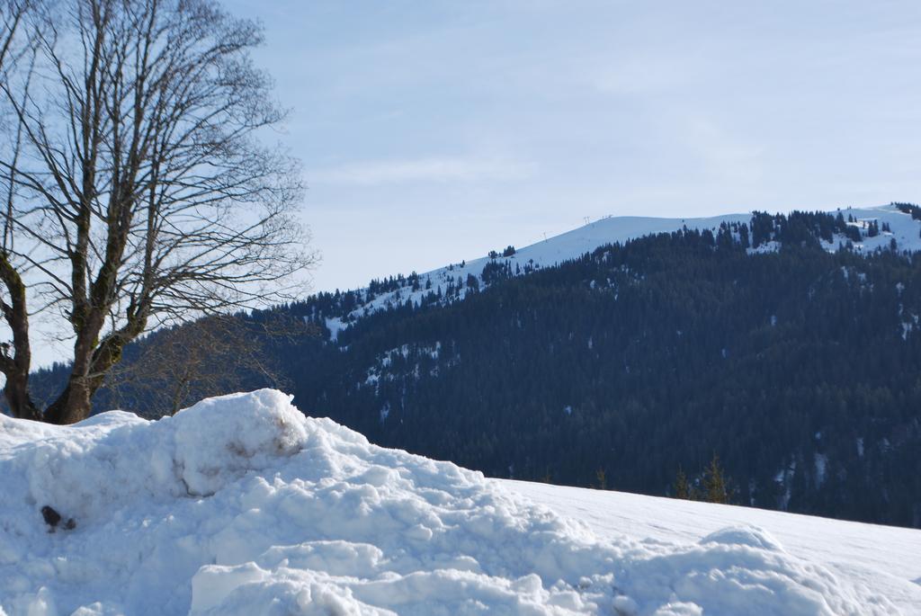 Villa Le Flocon des Aravis à La Giettaz Extérieur photo