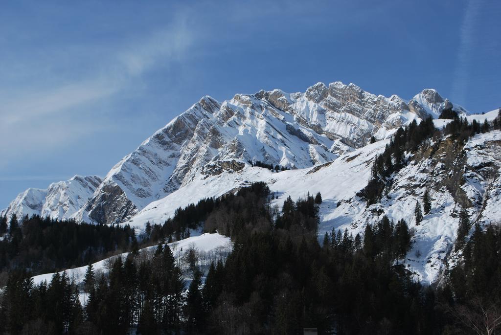 Villa Le Flocon des Aravis à La Giettaz Extérieur photo